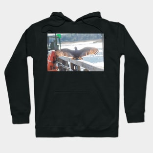 Spread your wings Hoodie